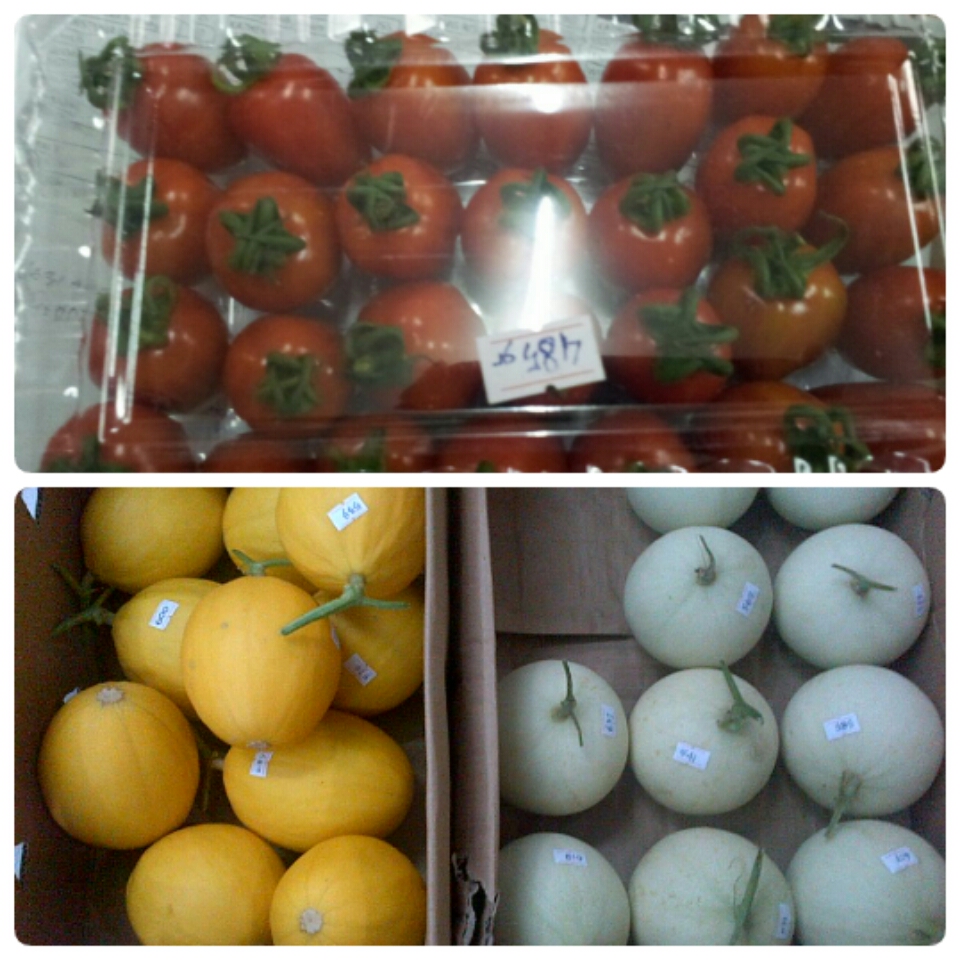 Buah-Buahan